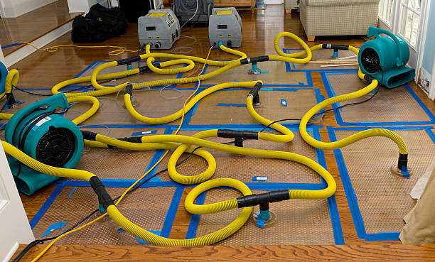 Professional Structural Drying And Dehumidification technician working in Key Largo, FL